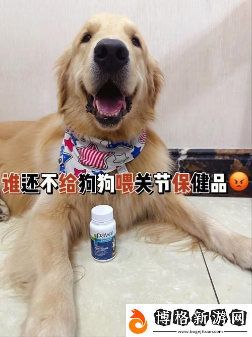 狗和人膠配方20分鐘-網友:太神奇了-我也想試試!