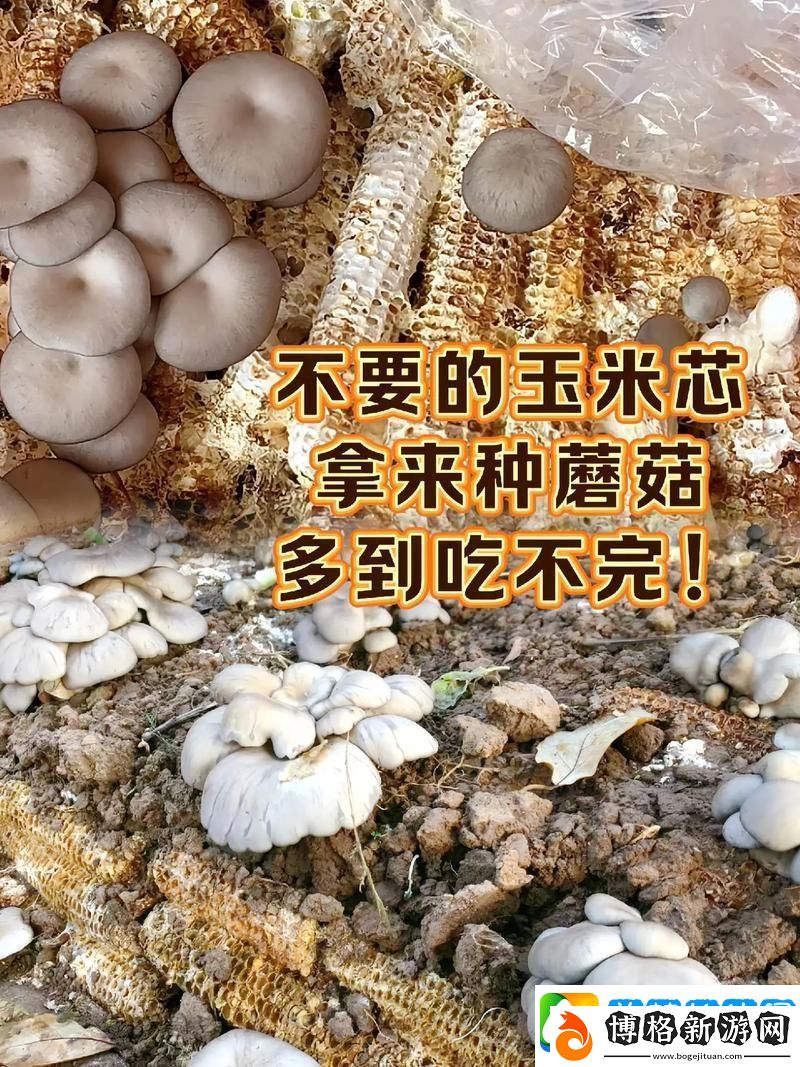 蘑幻科技潮:種菇新風尚