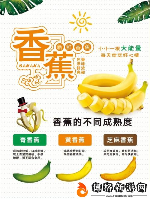 香蕉十八度和二十三度的區別:溫度對香蕉成熟的影響