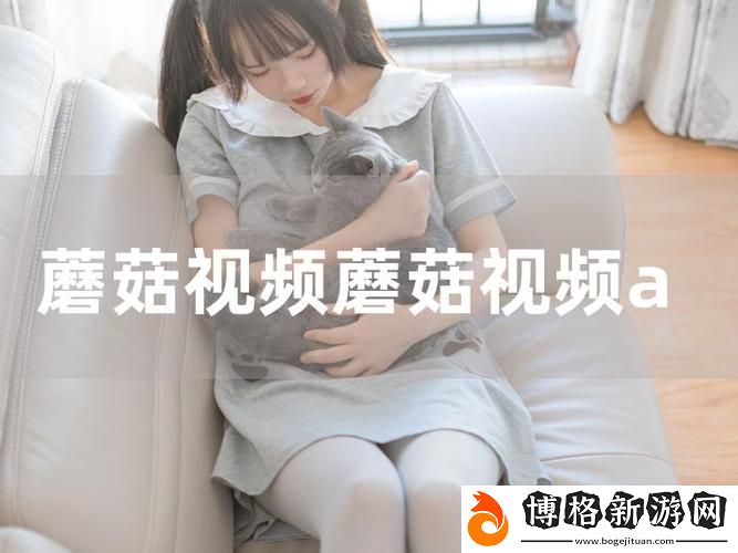 蘑菇短視頻App免費版本下載指南:暢享創意視頻的樂趣