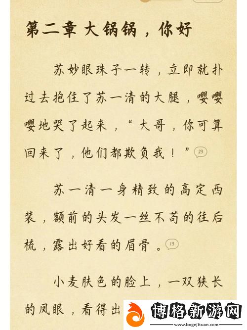 蘇軟軟汆肉的日常系統:在溫馨與美味中探尋生活的樂趣