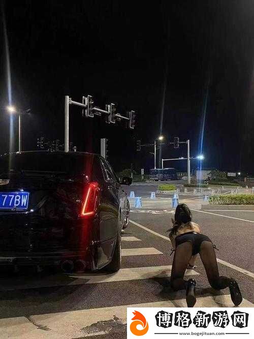 老-BWBWBWBWBW-對歡迎您老司機最愛:暢享駕駛樂趣之旅