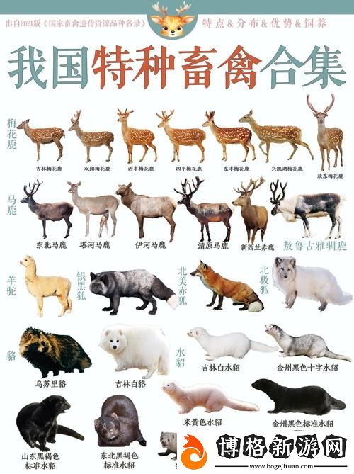 探索人狗畜禽COMPANYLIMITED的多元化經(jīng)營模式
