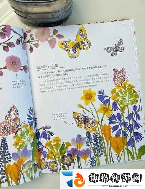 游蕩大家庭交響曲:奏響別樣家庭樂章的奇幻之旅