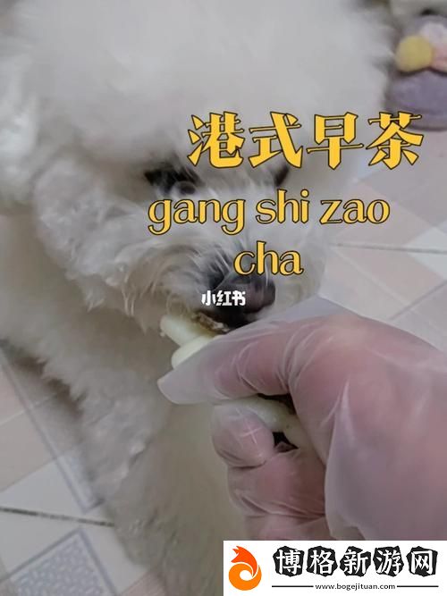 探索美國(guó)人與動(dòng)物膠配方大全:從傳統(tǒng)到現(xiàn)代的應(yīng)用