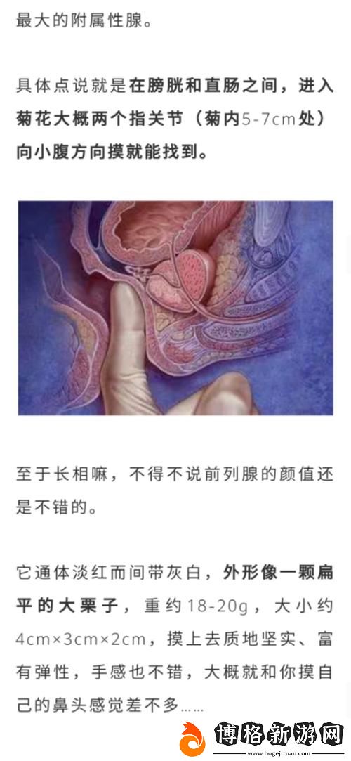 在公交車(chē)?yán)颿弄到高c了怎么辦:面對(duì)尷尬如何從容應(yīng)對(duì)