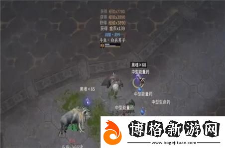 愚蠢的使者手游中角色與裝備的最佳搭配與選擇