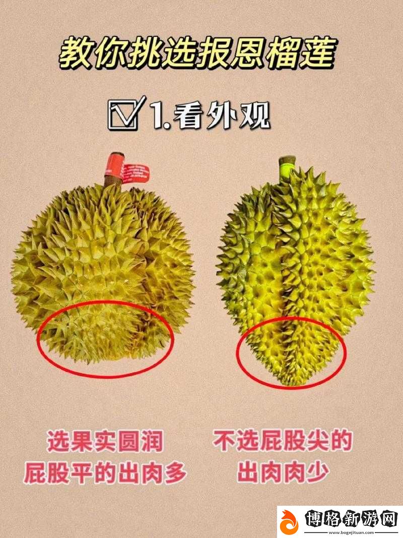 榴蓮官方-ios-下載安裝:輕松獲取榴蓮官方應(yīng)用的詳細(xì)指南