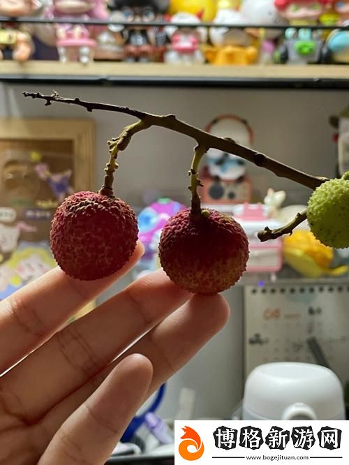 荔枝的甜蜜與竇寇兒的故事:已經塞了八顆荔枝了竇寇兒