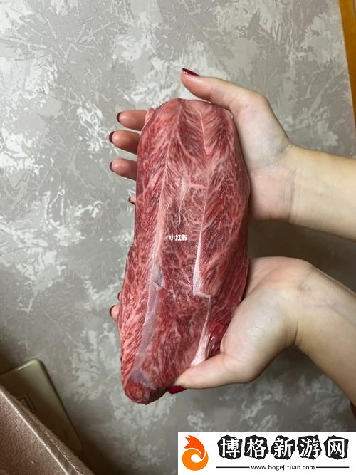 大肉大捧一進一出的視頻:探尋美食與文化的交融