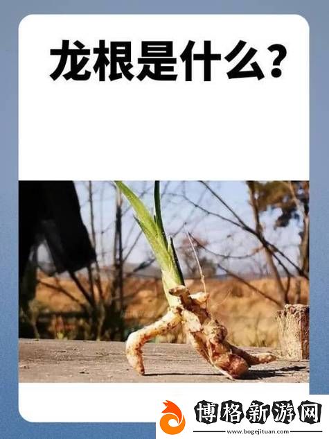 用龍根養(yǎng)大的公主姜宜珠姜封-網(wǎng)友:只在封印之中才能找到真愛