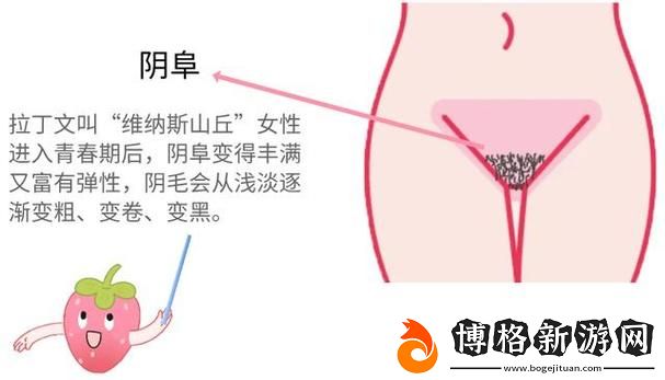 大蔭蒂BBBBBB大蔭蒂:探索生活中的細節與樂趣