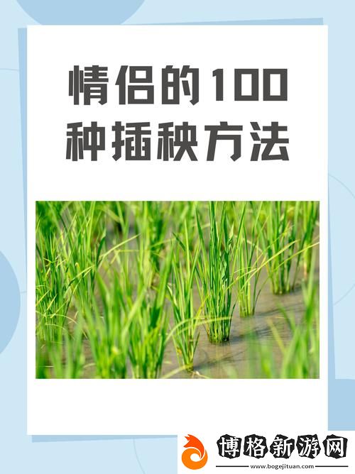 夫妻之間的100種插秧法:共建溫馨家庭的秘訣