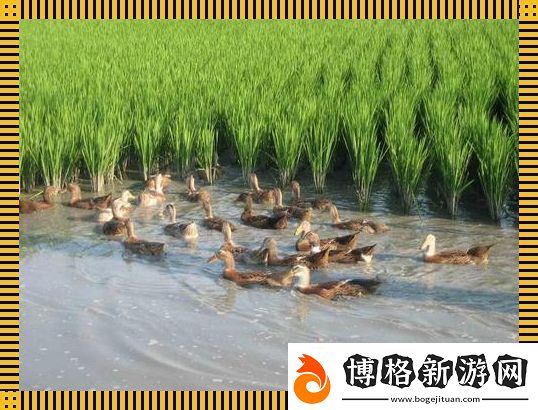 "田頭水甜-潮逐浪:另類視角下的新趨勢"