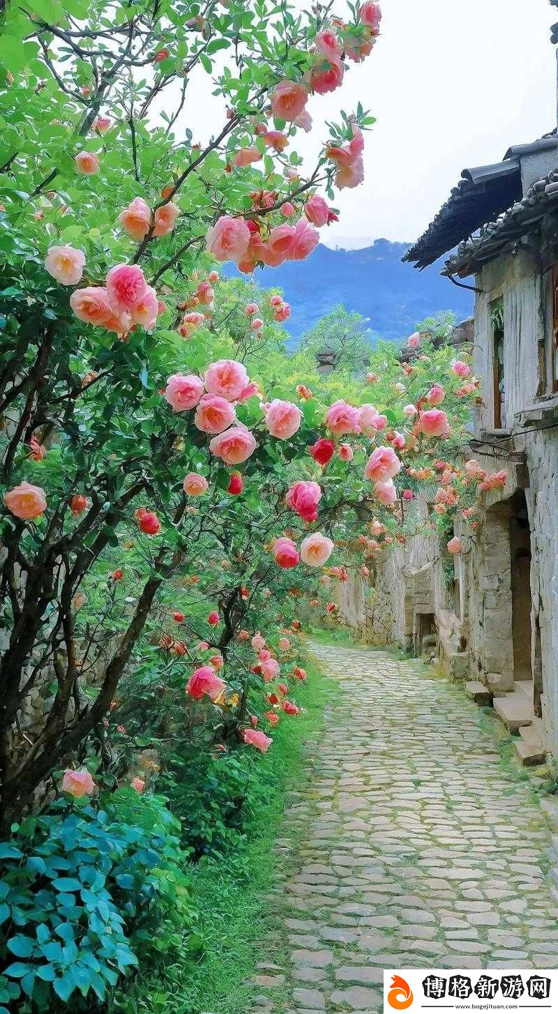 桃花洞口已是溪水潺潺:這里是心靈的避風港